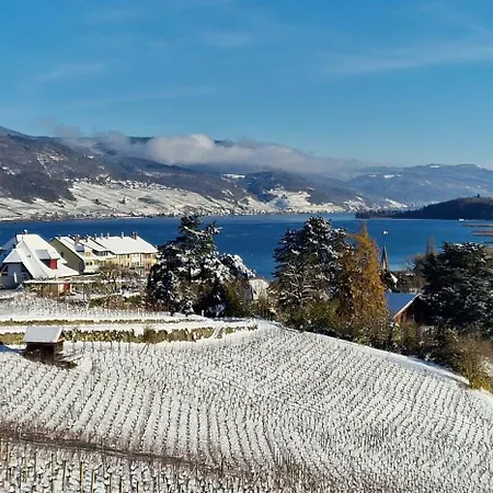 Lägenhet Cosy - De Bienne Erlach