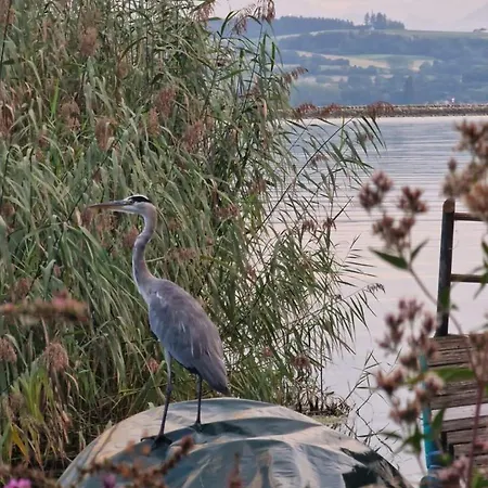 Cosy A - De Bienne Appartement *
