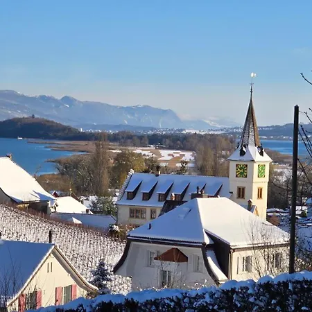 Appartement Cosy A - De Bienne *