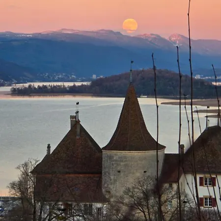 Cosy - De Bienne *