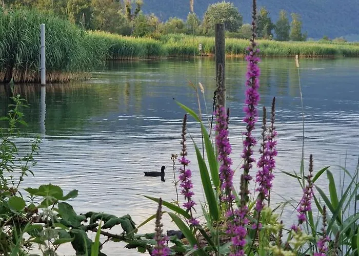 Cosy - De Bienne Lägenhet