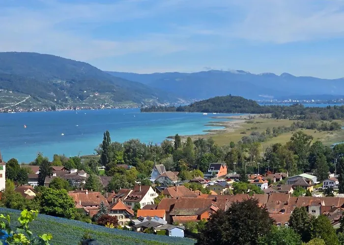 Lägenhet Cosy - De Bienne *