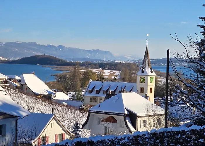 Lägenhet Cosy - De Bienne *