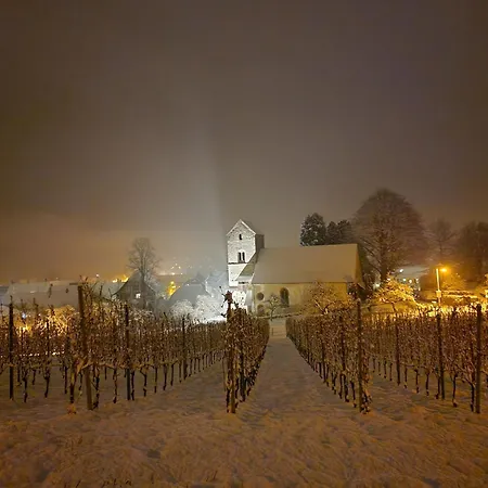 Cosy - De Bienne *