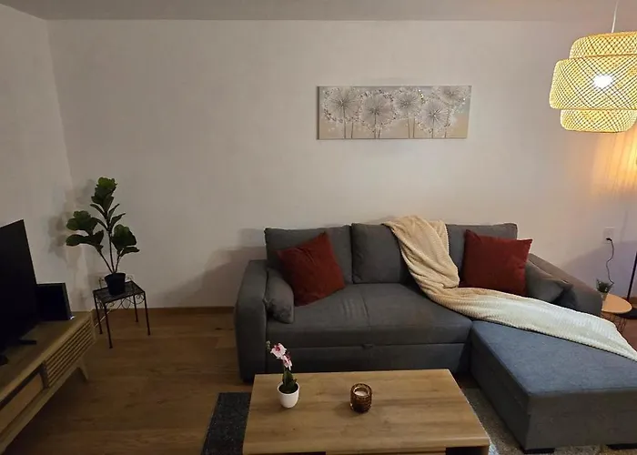 アパート Cosy - De Bienne Erlach