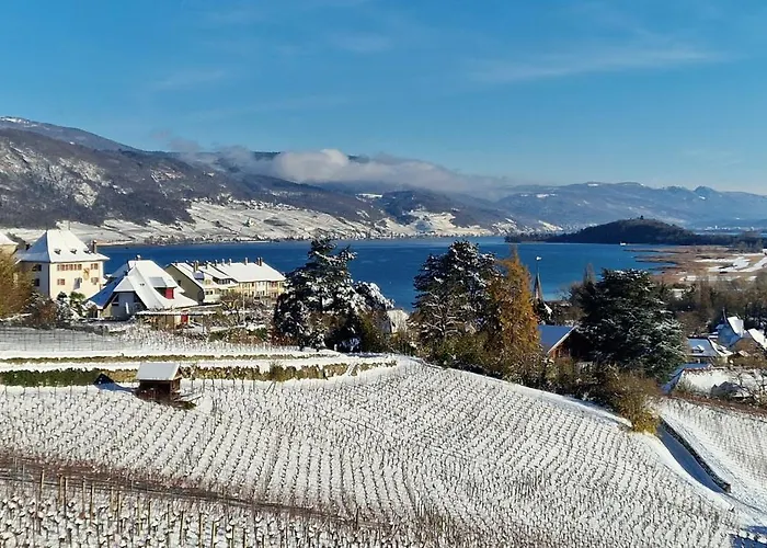 アパート Cosy - De Bienne Erlach