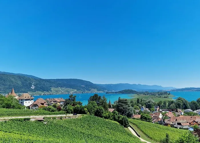 Cosy - De Bienne アパート Erlach