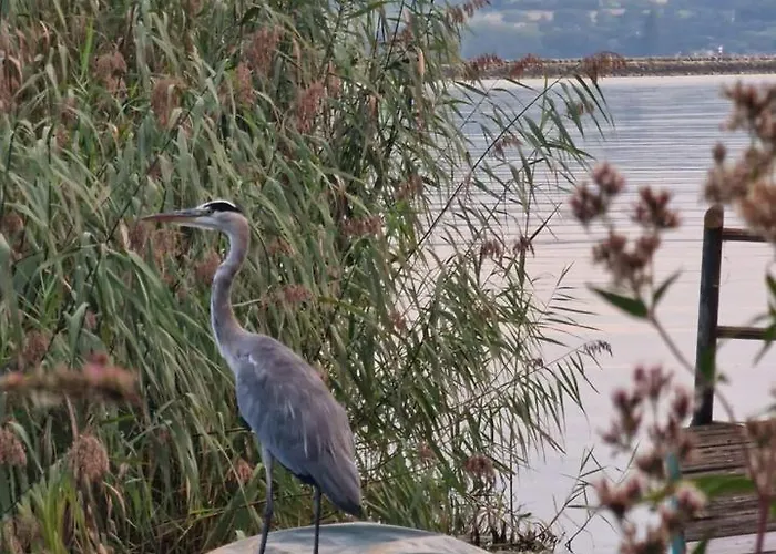 Cosy - De Bienne アパート *